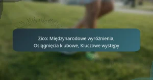 Zico: Międzynarodowe wyróżnienia, Osiągnięcia klubowe, Kluczowe występy