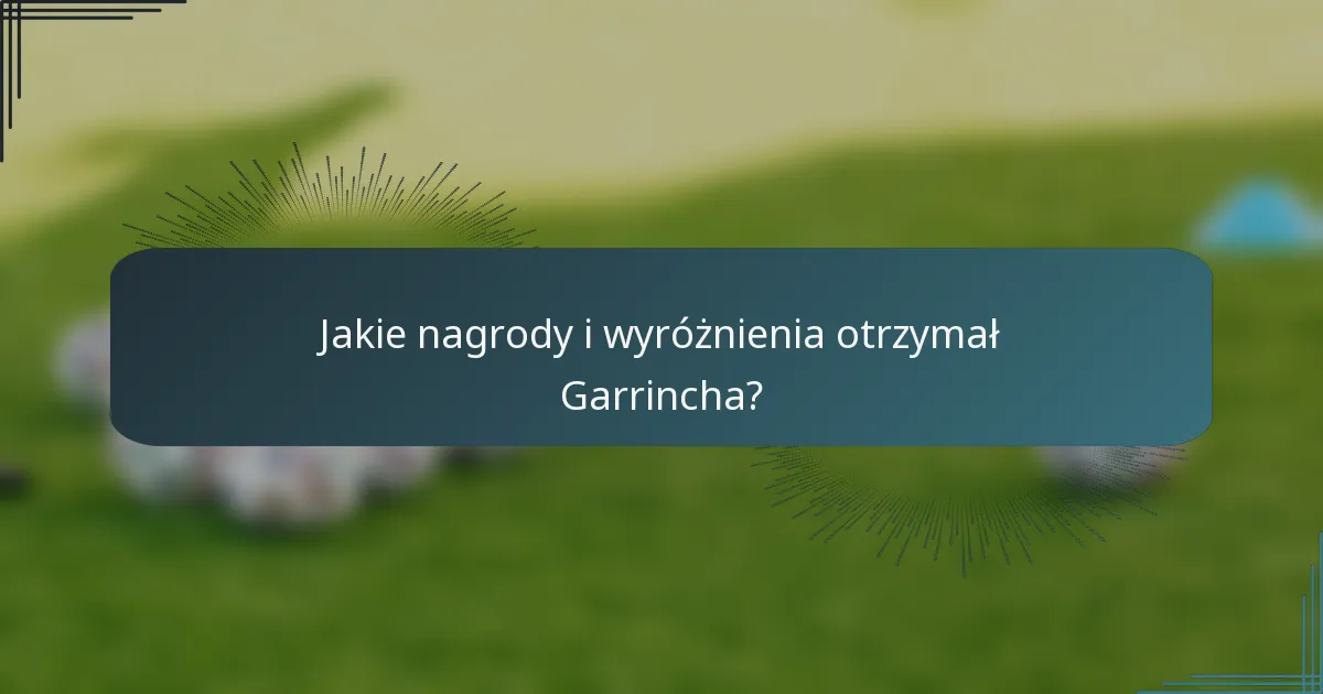 Jakie nagrody i wyróżnienia otrzymał Garrincha?